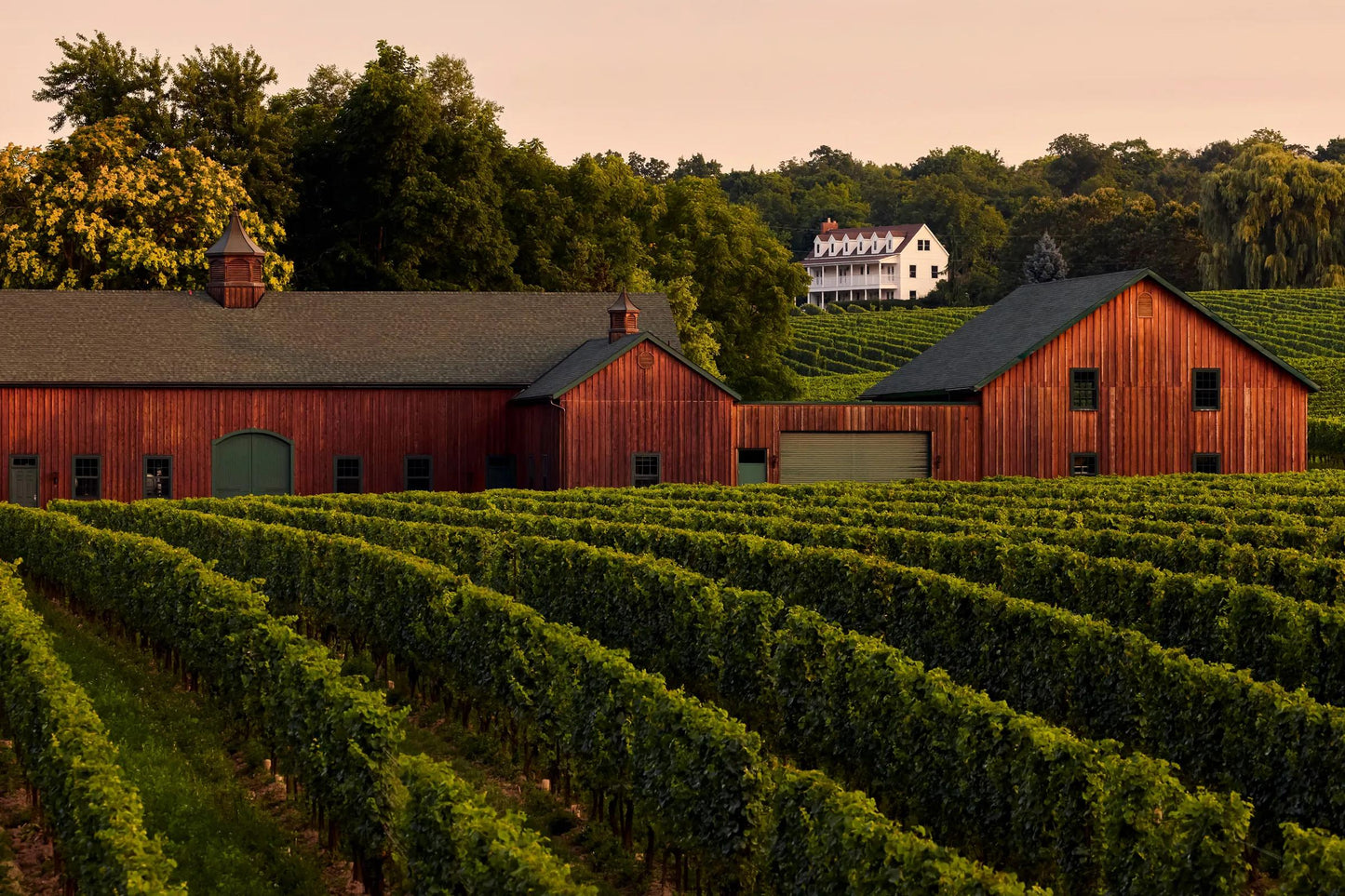 Private Curated Tasting Tour