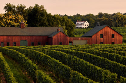 Private Curated Tasting Tour
