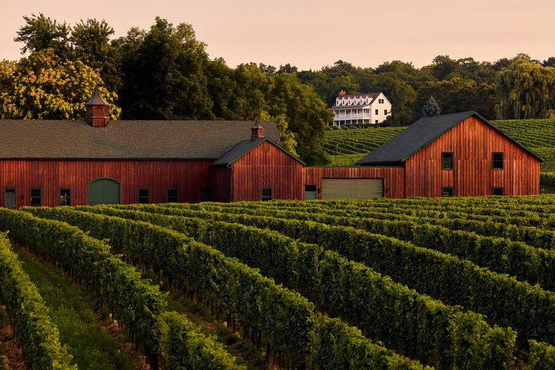 Red barns with a vineyard and white house in the background