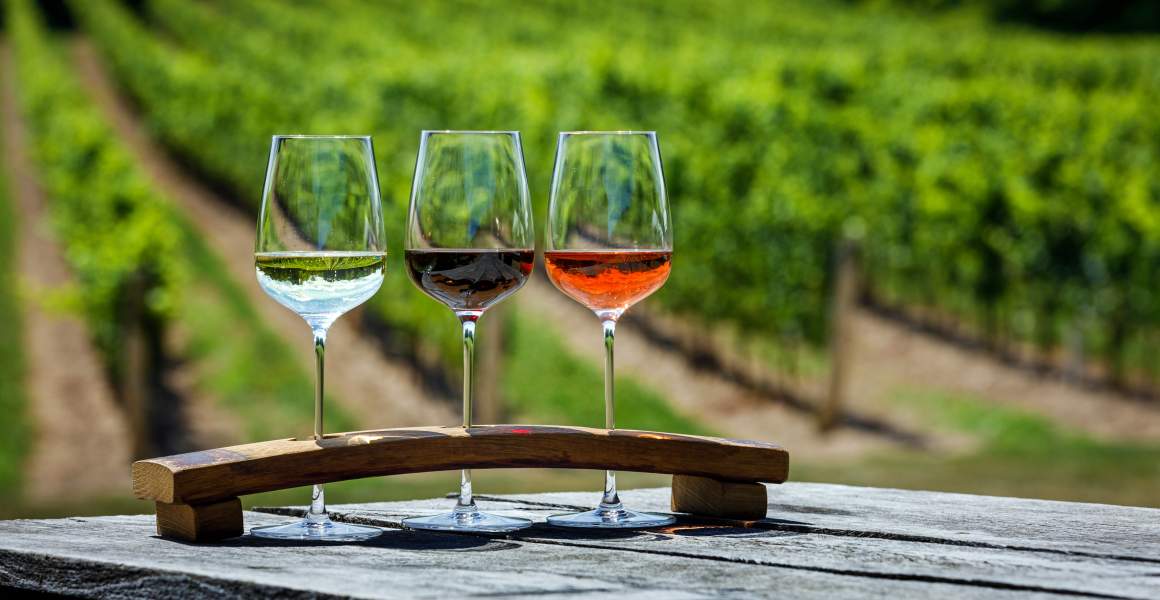 Three wine glasses with different colored wines on a wooden stand in front of vineyards.